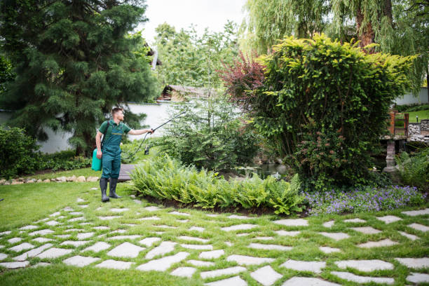 Best Pest Removal Services  in Folkston, GA