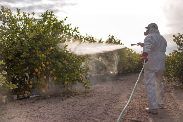 Best Residential Pest Control  in Folkston, GA