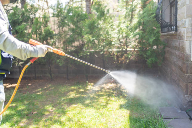 Best Wasp Removal Services  in Folkston, GA