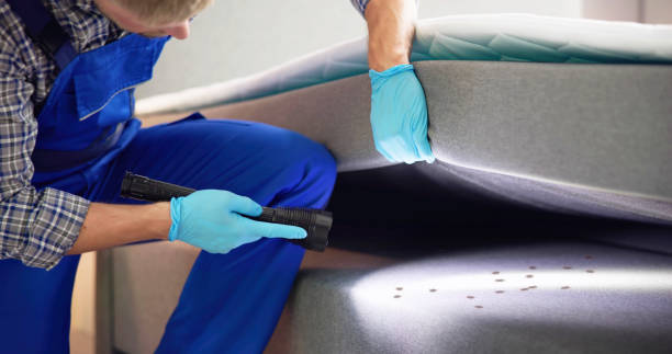 Best Termite Control Services  in Folkston, GA