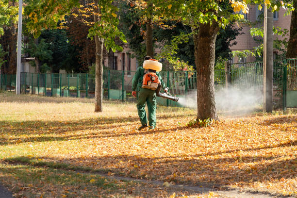 Best Flea Control Services  in Folkston, GA
