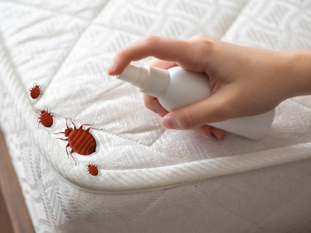 Best Pest Control Near Me  in Folkston, GA