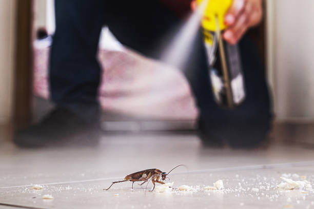 Pest Control Cost in Folkston, GA