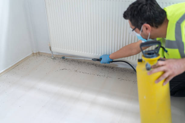 Best Mosquito Control Services  in Folkston, GA
